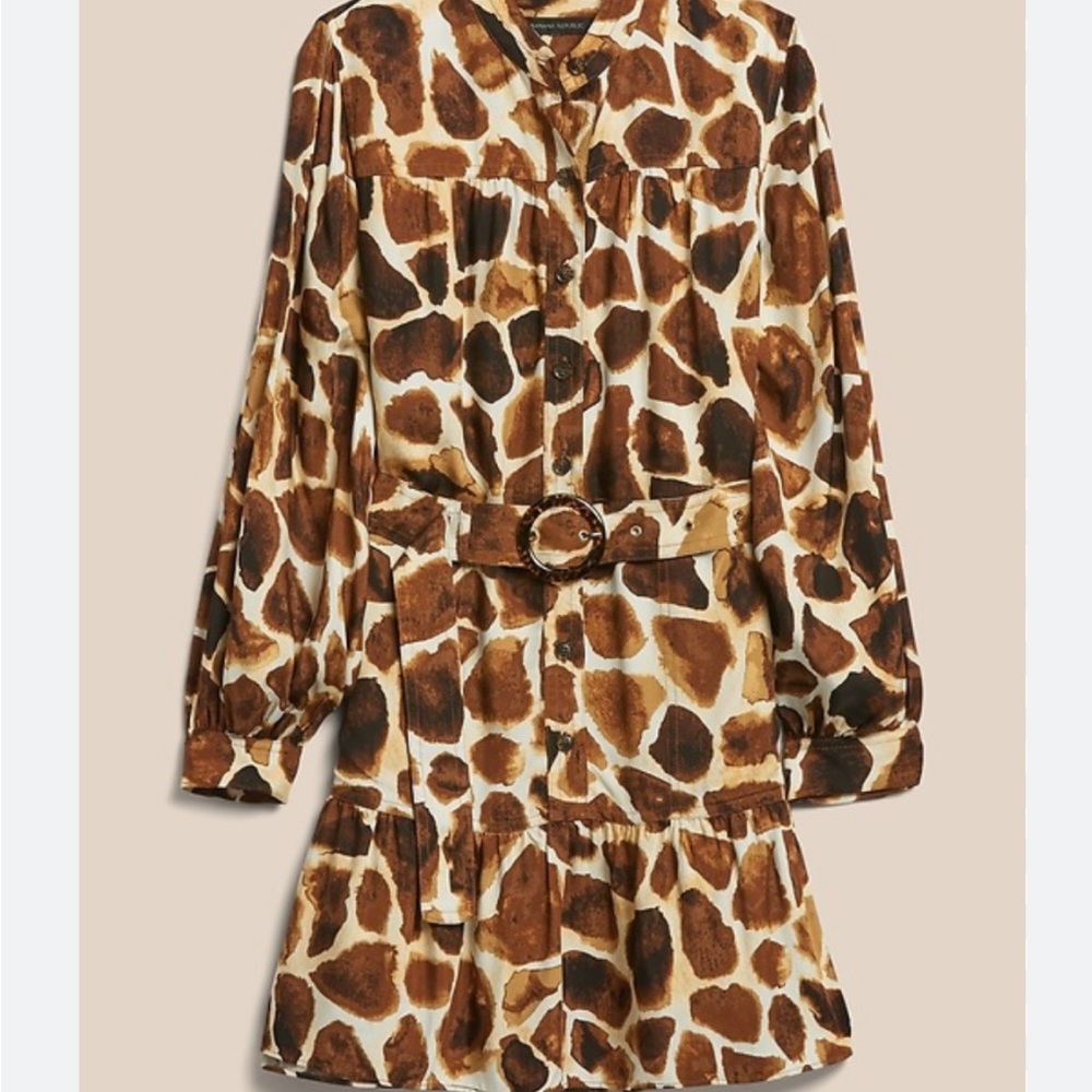 Banana Republic Flounce Hem Dress